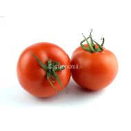 POMIDOR CZERWONY KG - pomidor_wm.jpg