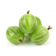 AGREST ZIELONY 2KG - adobestock_88728258.jpeg