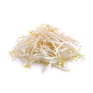 KIEŁKI FASOLI MUNG 150G (PL)  - mung.jpg