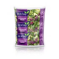 MIX SAŁAT 500G ACTIVE CATERING PACK FIR & EASY - pack_catering_active_small.jpg