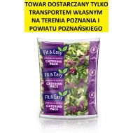 MIX SAŁAT 500G ACTIVE CATERING PACK FIR & EASY - pack_catering_active_small_1.jpg