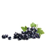 PORZECZKA CZARNA 500G - porzeczka_czarna_1_2.jpg