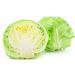 KAPUSTA BIAŁA SZT