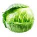 KAPUSTA MŁODA BIAŁA SZT (PL)