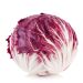 SAŁATA RADICCHIO